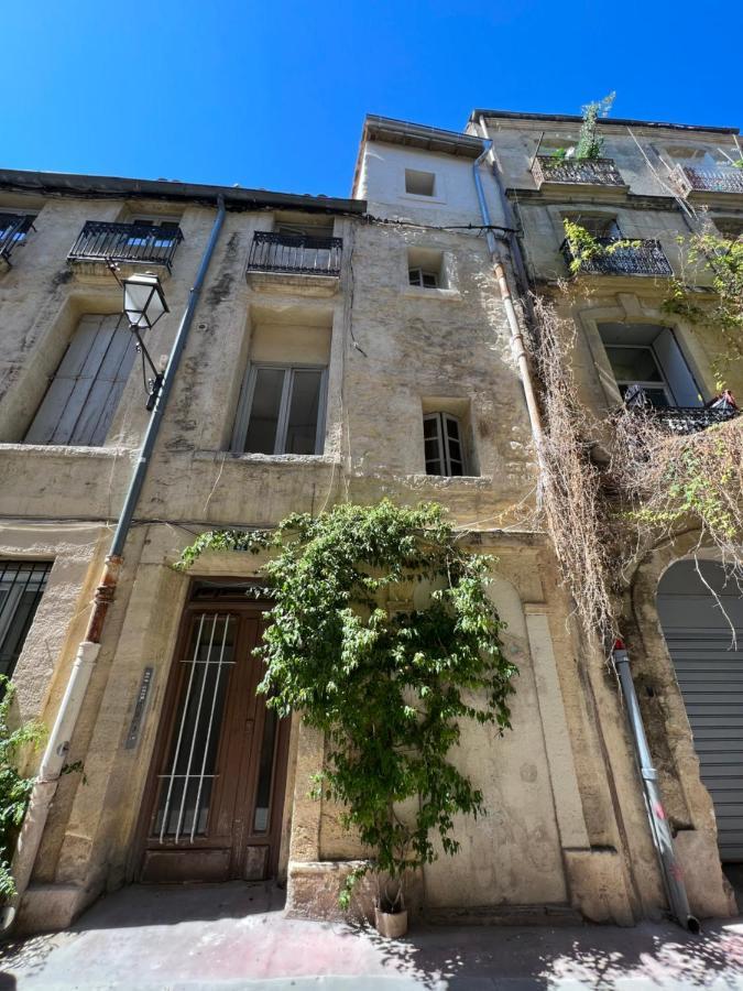 Charmant Studio Au Coeur De L'Ecusson Montpellier Eksteriør billede